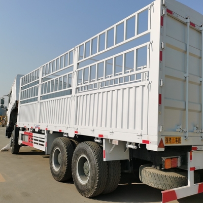Caminhão de carga Sinotruk HOWO com certificação ECE de pneus e transmissão Wly6t46